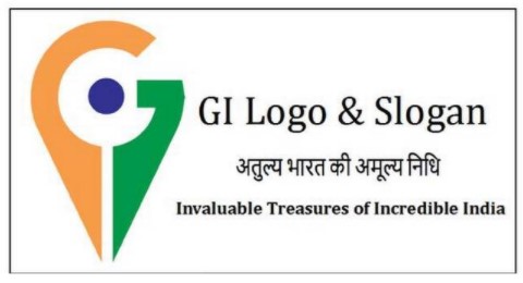 GI Logo